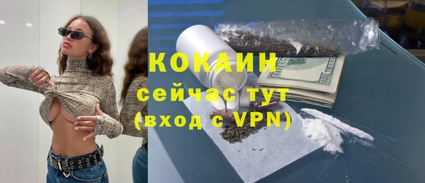 не бодяженный Горно-Алтайск