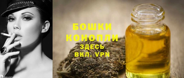 тгк Горнозаводск
