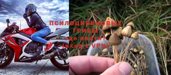 тгк Горнозаводск