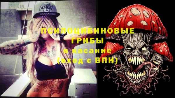 тгк Горнозаводск