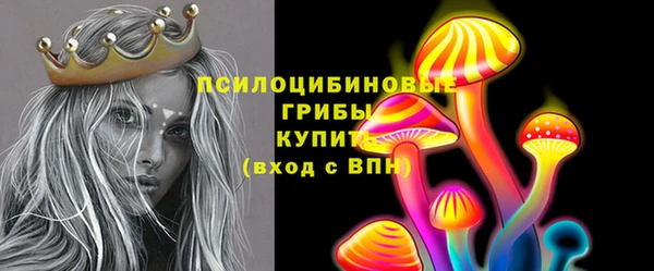 тгк Горнозаводск