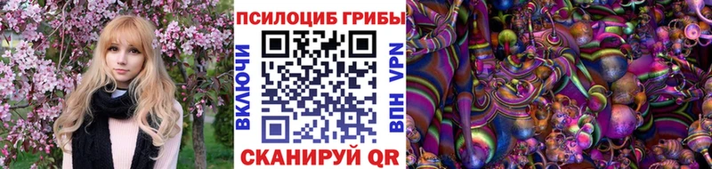 Псилоцибиновые грибы прущие грибы  дарнет шоп  Новомосковск 